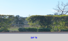 Load image into Gallery viewer, DP 70 Neutral Window Film